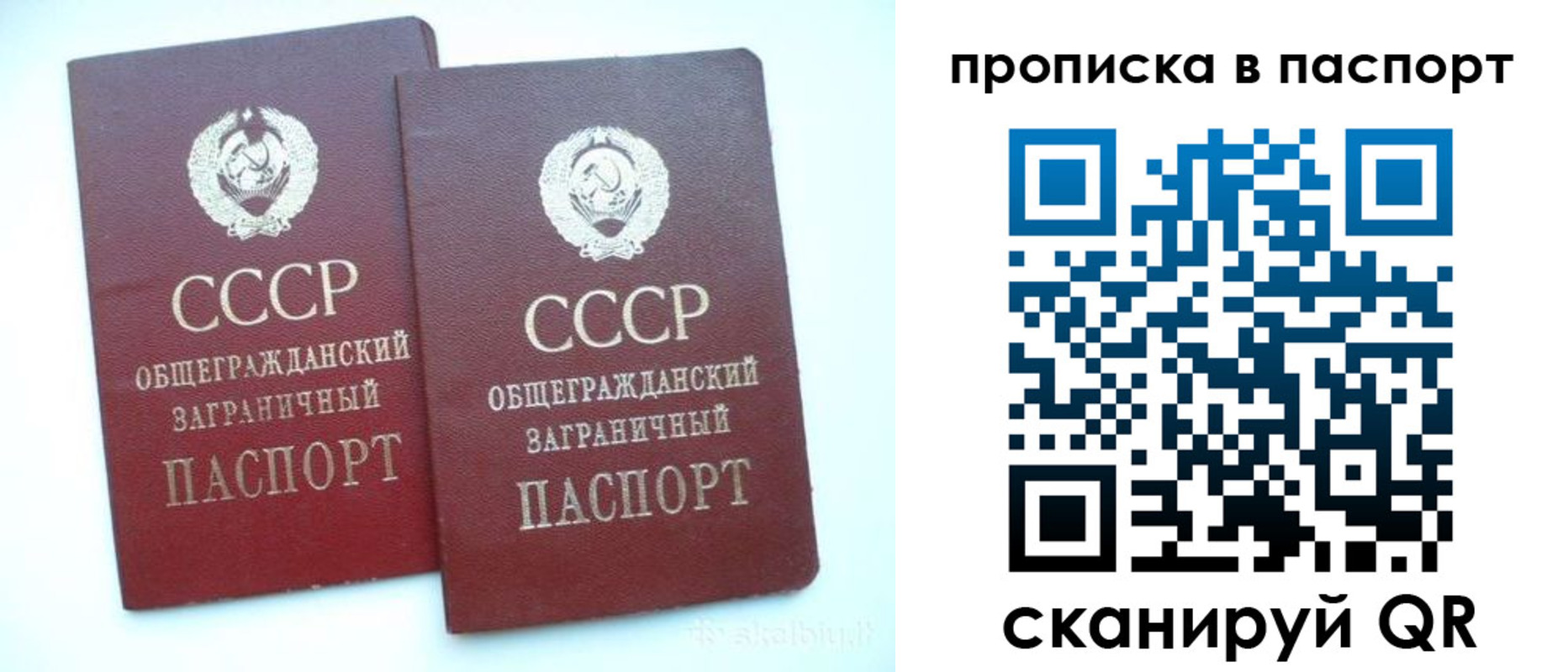прописка законно в Шахунье
